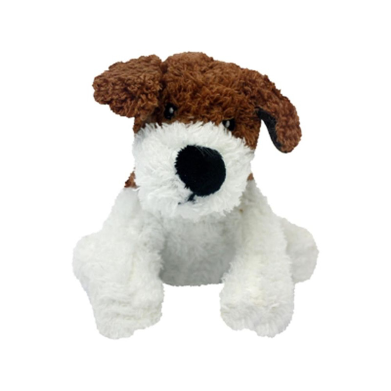 Chewrassic Barkbox
