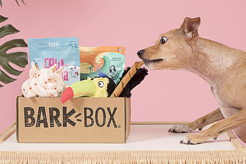 Barkbox money back guarantee