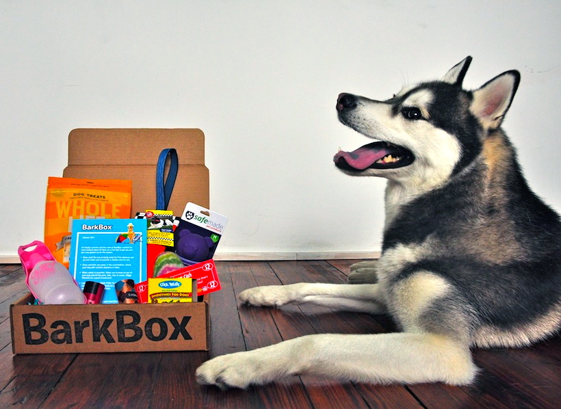 Barkbox offer