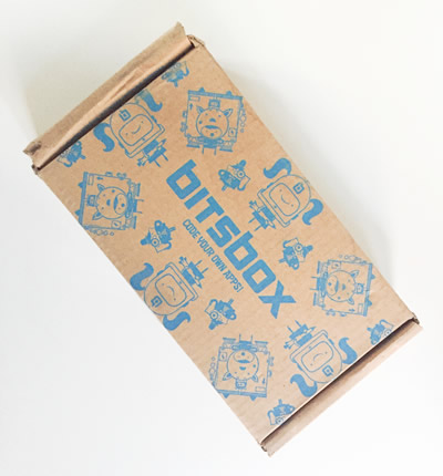 box Bitsbox january