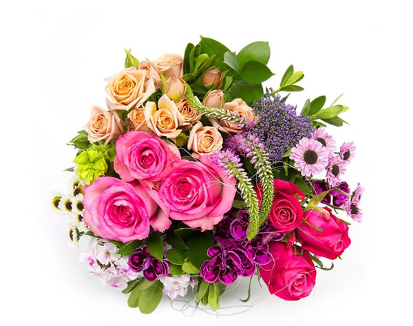 Bloomsy Classic