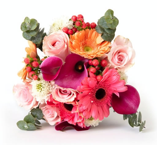 Bloomsy Farm
