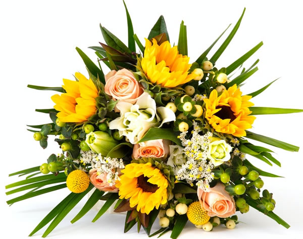 Bloomsy Premium