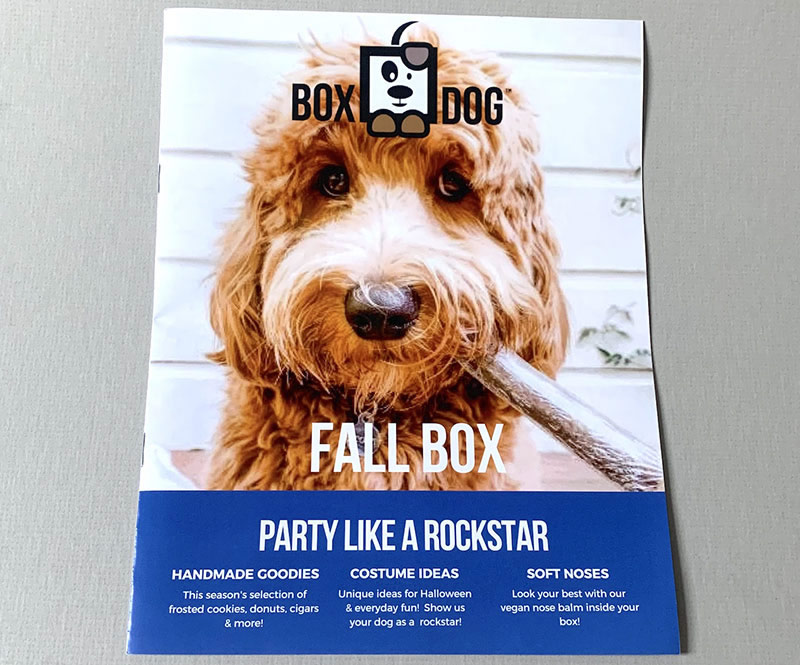 BoxDog Fall Box