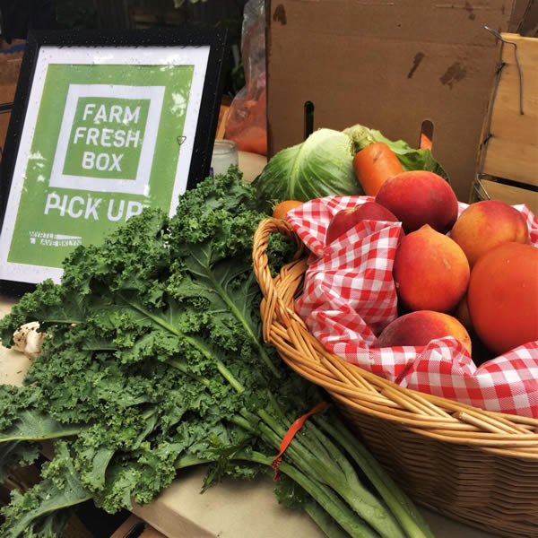 Farmfreshbox pick up