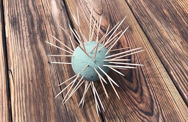 Green Kid Crafts Cactus