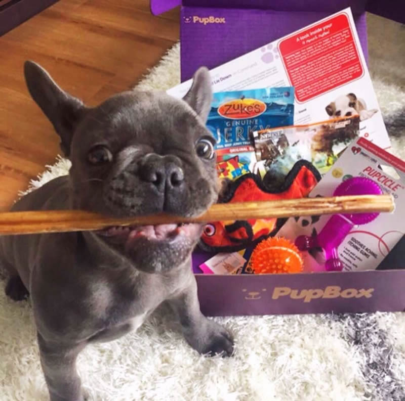 Monthly Box Pupbox