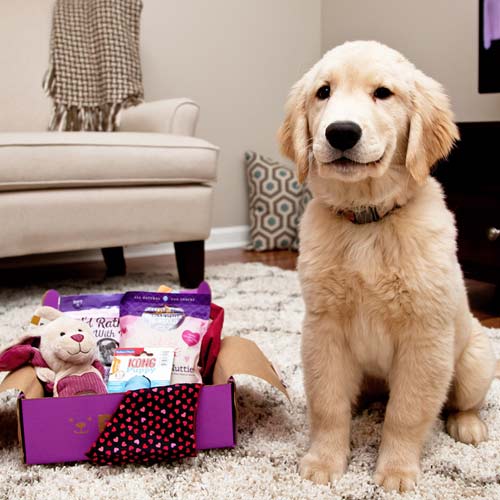 PupBox Subscription Box