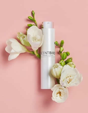 Scentbird New York