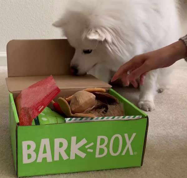 BarkBox Eperience