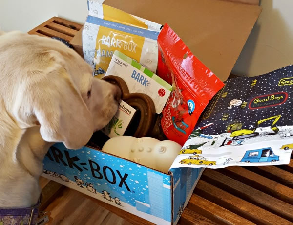 BarkBox for good dog