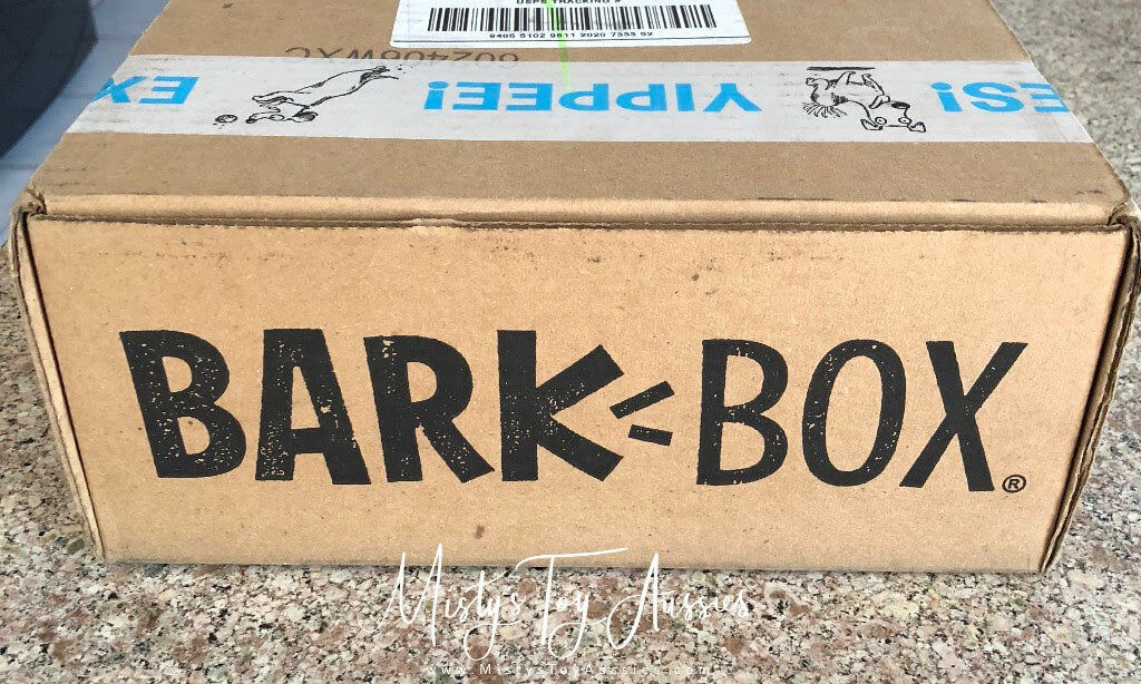 Barkbox Box