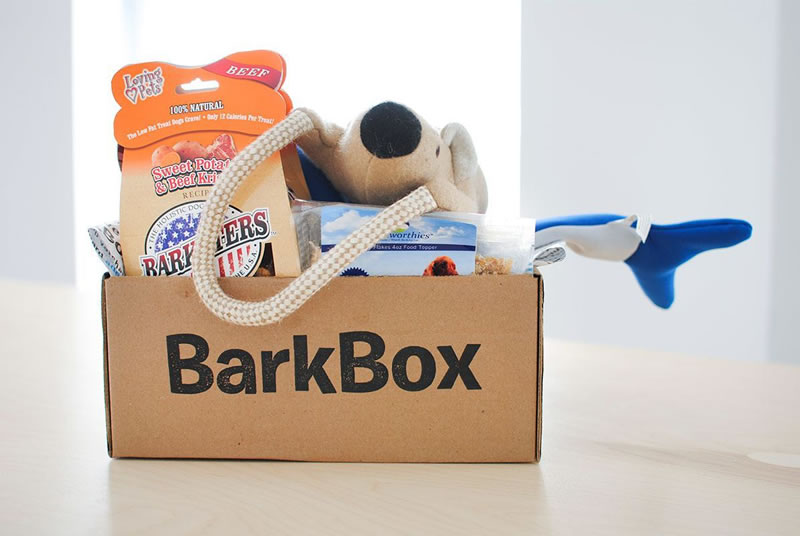 Barkbox for City Dogs