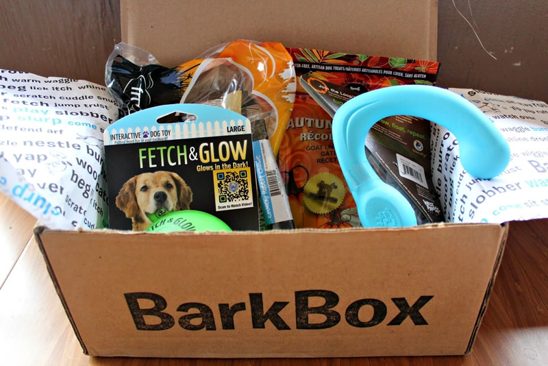 Barkbox free shipping