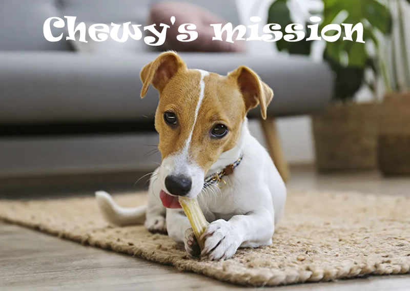 Chewy's mission